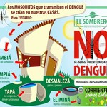 Dengue_1