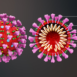 Coronavirus2