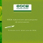 Eoca_subvenciones_2020