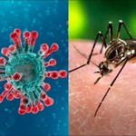 Coronavirus_y_dengue