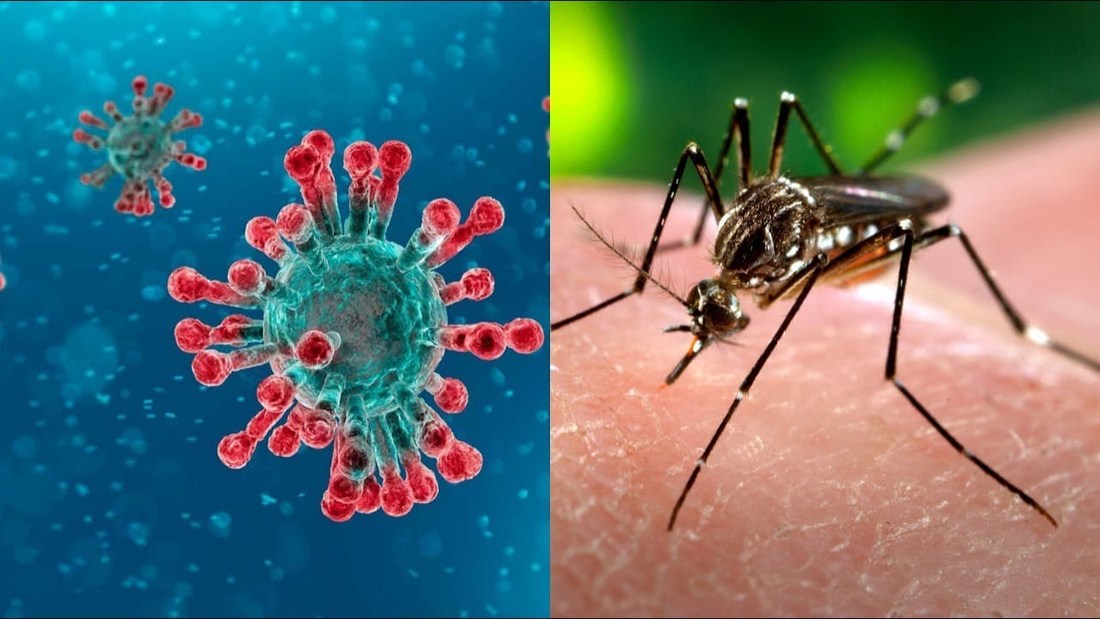 Coronavirus_y_dengue