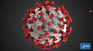 Coronavirus1