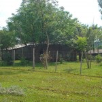 Tierras-fiscales-icaa