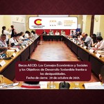 Becas_aecid_consejos_econ%c3%b2micos_sociales