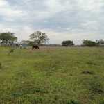 29-8-2022_la_cocucha_icaa__(6)