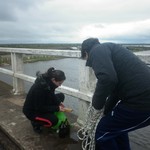 Monitoreo_icaa_sep_16_(2)